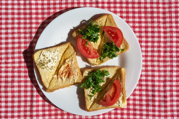 Hot fresh toasts with cheese and tomato on a plate, flat view