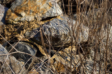 large natural stones piled up in the bright sun