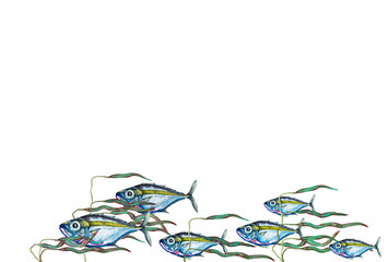 Illustration of big-eyed blue-pink fish flock in fresh streaming water with kale algae. Watercolor hand painted isolated elements on white background.