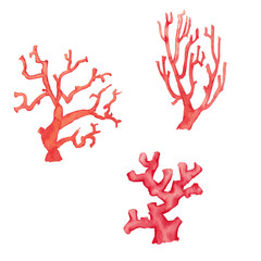 Set of realistic marine light-red corals. Underwater wild world. Watercolor hand painted isolated elements on white background.