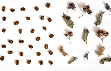 Background from black tea and coffee on a white background.Concept of choice. Natural flowers of tea are mint, lemon balm, linden and roasted coffee grains. top view, flat lay