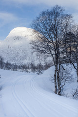 HORNINGDAL, NORWAY - 2016 FEBRUARY 15. Norwegian mountain with winter landscape with ski track