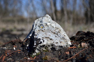 Fototapeta na wymiar piece of beton among old bitumen