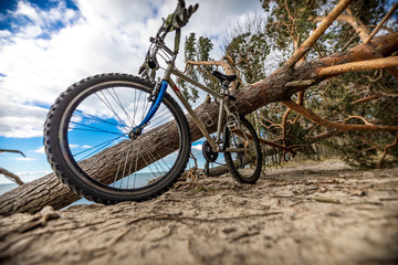 Fototapeta premium Bicycle parked next to water on Baltic beach 