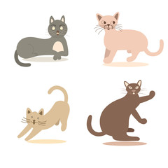 Cat cartoon set on white background. Illustration vector design.