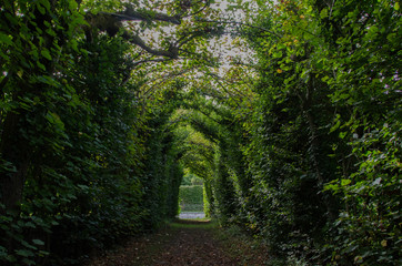 Fototapeta premium jardins du chateau de Freyr (Hastière, Namur, Belgique)