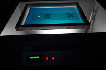 Silk screen printing. Serigraphy. Stencil Development Machine.