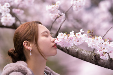 Obraz premium 桜ポートレート