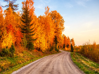Fototapeta premium country road in autumn forest