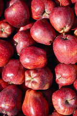 Perfect red apples on the market