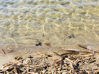 dead sea salt