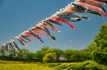 鯉のぼり, 子供の日, 青空, 風, 赤, 青, 雲, 木, 緑