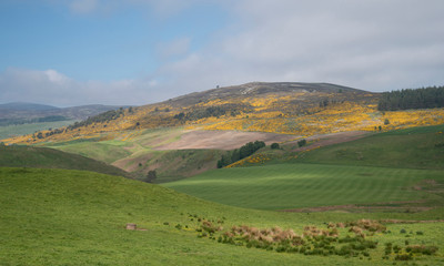 Obraz premium Mossat View Aberdeenshire