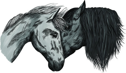 horses portrait in love black and white animals vector illustration