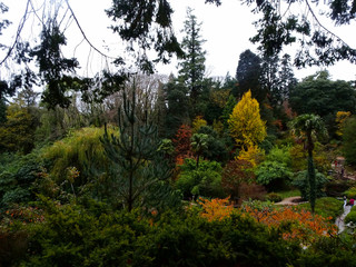 view of green trees 