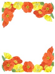 ポピーのフレーム