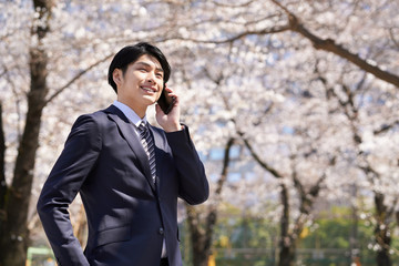 桜を背景に電話をする日本人男性ビジネスマン