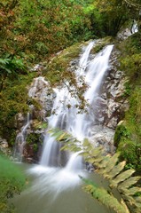 Fototapeta na wymiar Waterfall in the forest of Sierra Nevada de Santa Marta, Colombia