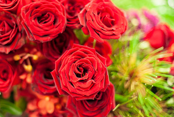 Bouquet of fresh roses, flower bright background.