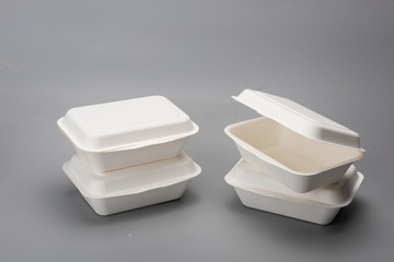 Biodegradable environmental disposable fast food box, in the gray background