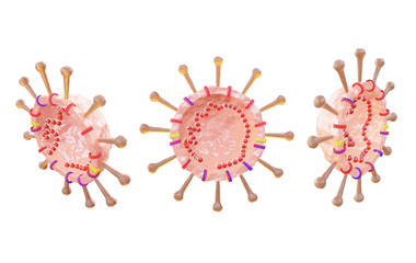 Coronavirus cell structure, Anatomy of Corona virus isolated on white background. 3d render.