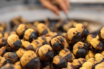 Closeup of street food of roasted chestnuts in Turkey