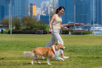 Woman run with her herding dog at outdoor