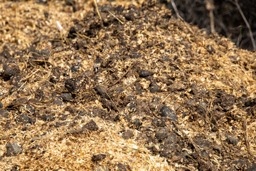 Close up of a heap of organic manure for natural fertilization. Farm life in the italian countryside. Selective focus.