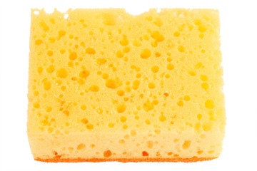 Sponge isolated on white background.