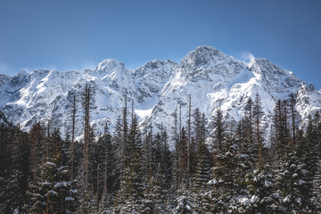 Hohe Tatra