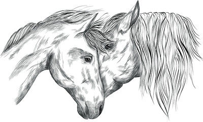 horses portrait in love black and white sketch coloring animals vector illustration