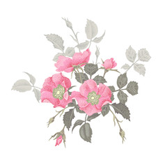 Vektor-illustration Blumenstrauß aus Rosen. © marinavorona