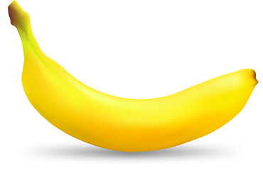 Banana isolated on white background. Realistic fruit. Vector illustration