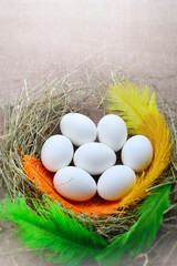 Seven white chicken eggs in a hay nest made of hay and yellow orange and green colored feathers