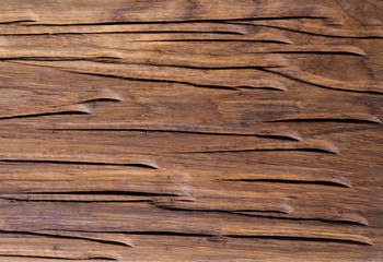 Obraz premium Wood Board carving. Wooden pattern Handmade. Oak wood texture background. 