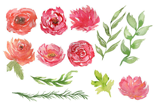 Watercolor illustration of red flowers and leaves. Hand-drawn with watercolors and is suitable for all types of design and printing.