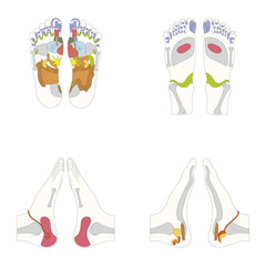 Fußreflexzonen des Menschen ohne Beschriftung