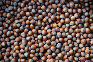 inshell hazelnuts in a box