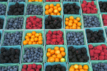 boxes of various berries and yellow tomatoes, on display for sale at a market stall in the farmer's market in Venice, CA