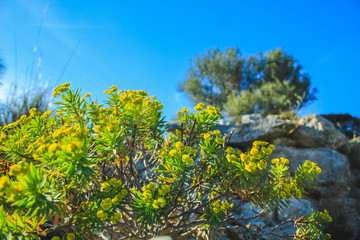 Rocky hill at Parc natural de la peninsula de Llevant on the island of Mallorca, Spain