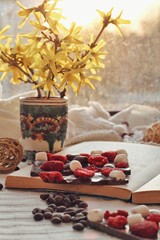 Crafted handmade chocolate bar with marshmallow and berries, coffee beans and good book