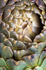 Fototapeta premium cooked artichoke on a blue plate