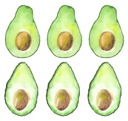Watercolor hand drawn avocado. isolated on white