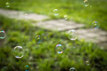 Bubble blower on the green grass