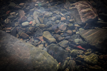 summer sunshine creates beautiful patterns on river stones under water