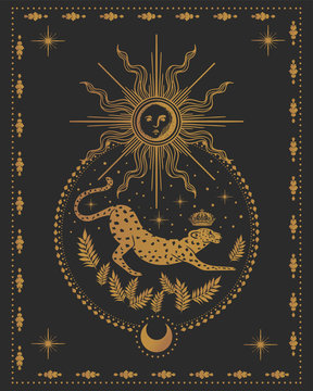 jaguar, sun and moon, magical vector illustration, tarot cards symbol, alchemy