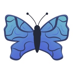 Island butterfly icon. Cartoon of island butterfly vector icon for web design isolated on white background