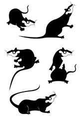 Original rat or mouse set for design. Rat or mouse original black on white illustration 
