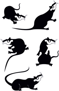 Original rat or mouse set for design. Rat or mouse original black on white illustration 