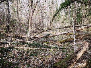 Calcit, Kalzit, Kalkspat, Kugel, hellsehen, wahrsagen